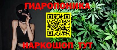 прущие грибы Славянск-на-Кубани