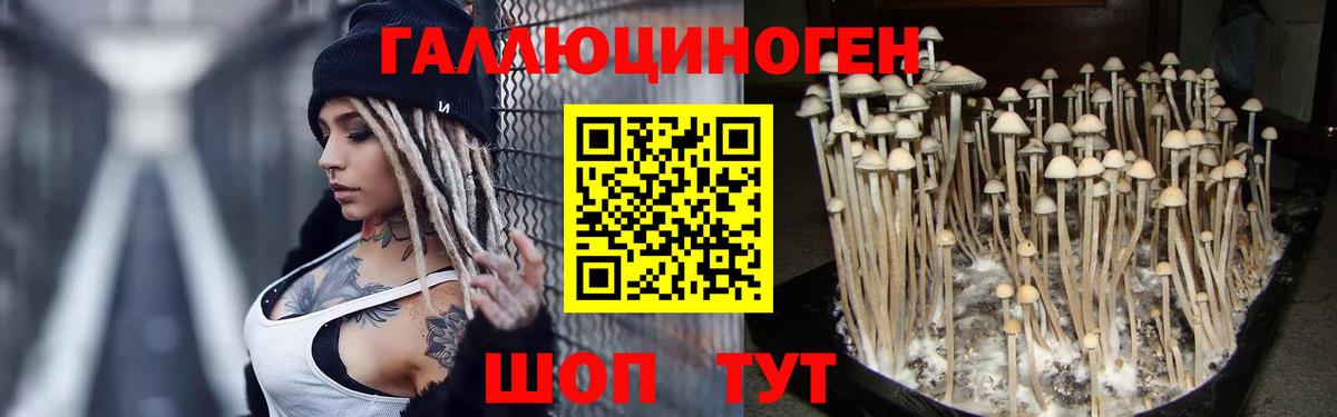 Галлюциногенные грибы ЛСД Отрадный