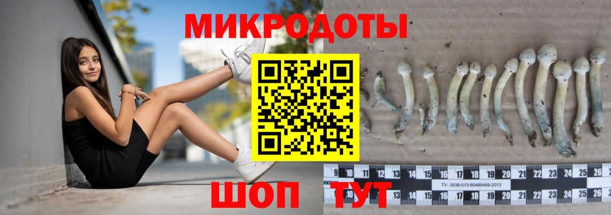 Галлюциногенные грибы ЛСД  Вход с VPN  Отрадный 
